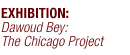 Exhibition: Dawoud Bey: The Chicago Project