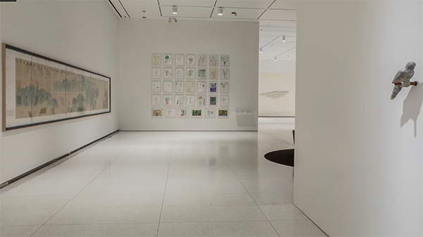 Toward Common Cause virtual tour